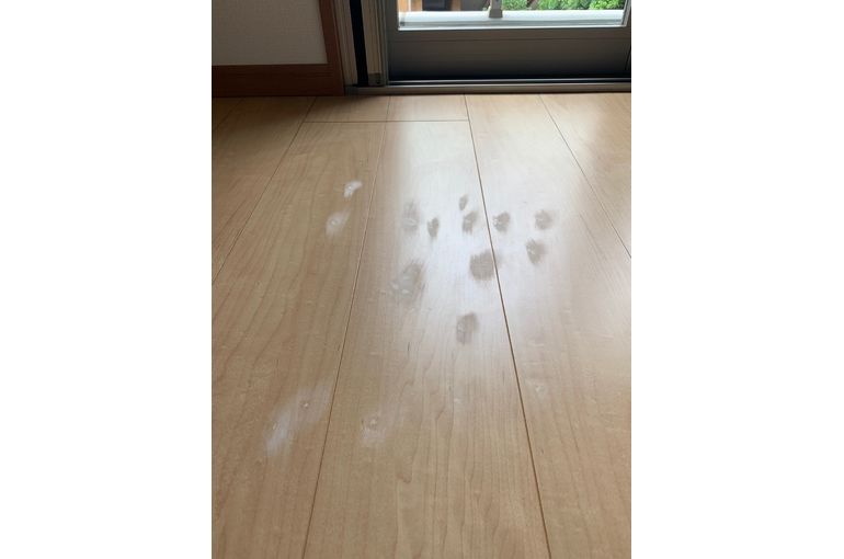 八王子市でフローリングのリペアしました